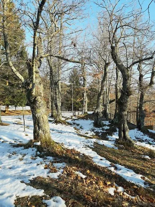 Casa Del Castagno: Un Nido Nel Castagneto Villa Pistoia 0*,  Italy