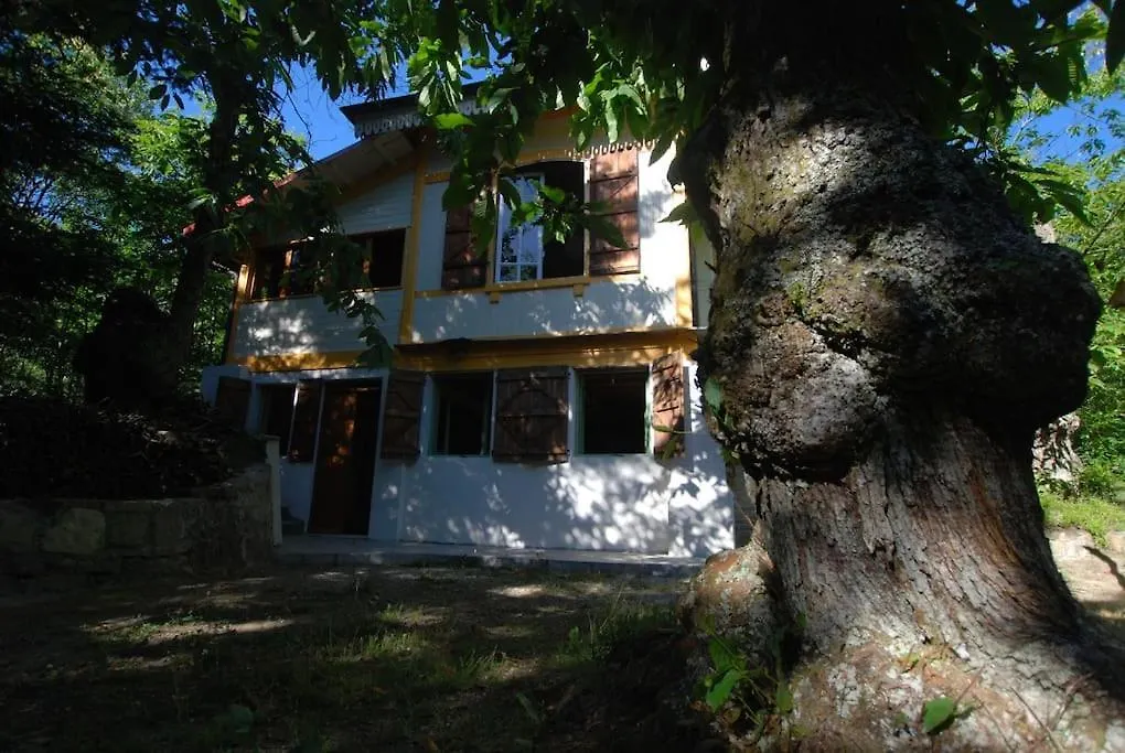 Holiday home Casa Del Castagno: Un Nido Nel Castagneto Villa Pistoia Italy
